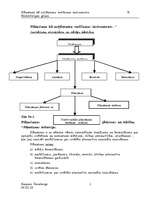 Konspekts 'Plānošana', 3.