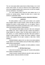 Referāts 'Metālu priekšmetu izmantošana un kopšana sabiedriskās ēdināšanas uzņēmumos', 10.