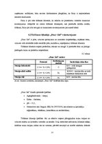 Referāts 'Metālu priekšmetu izmantošana un kopšana sabiedriskās ēdināšanas uzņēmumos', 13.