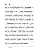 Referāts 'Nīderlandes nodokļu un muitas administrācijas stratēģiju novertējums', 3.