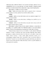 Referāts 'Nīderlandes nodokļu un muitas administrācijas stratēģiju novertējums', 7.