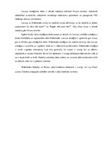 Referāts 'Nīderlandes nodokļu un muitas administrācijas stratēģiju novertējums', 11.