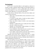 Referāts 'Nīderlandes nodokļu un muitas administrācijas stratēģiju novertējums', 12.