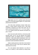 Konspekts 'Manas domas par laikmetīgo mākslu Latvijā', 11.