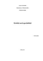 Konspekts 'Strādāt savā specialitātē', 1.