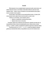 Referāts 'Tūrisms - tautsaimniecības nozare', 3.