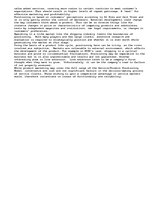 Eseja 'Strategic Marketing', 3.