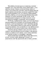 Konspekts 'Biznesa pasaka', 2.