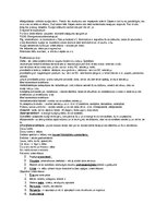 Konspekts 'Konspekts par gremošanas sistēmu', 7.