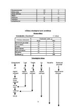 Referāts 'Ēdināšanas uzņēmuma ēdienkartes sastādīšana', 13.