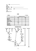 Referāts 'Ēdināšanas uzņēmuma ēdienkartes sastādīšana', 14.