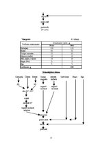 Referāts 'Ēdināšanas uzņēmuma ēdienkartes sastādīšana', 15.
