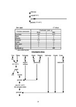 Referāts 'Ēdināšanas uzņēmuma ēdienkartes sastādīšana', 19.