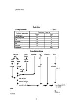 Referāts 'Ēdināšanas uzņēmuma ēdienkartes sastādīšana', 20.