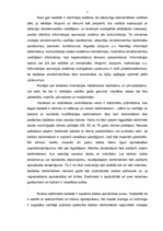 Referāts 'Iestādes “XXX” darbinieku motivācijas stipro un vājo pušu analīze', 5.