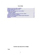 Referāts 'Stratēģiskais projekts organizācijai', 2.