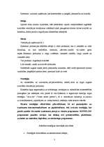 Referāts 'Stratēģiskais projekts organizācijai', 3.