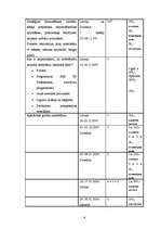 Referāts 'Stratēģiskais projekts organizācijai', 6.