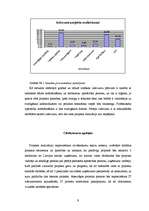 Referāts 'Stratēģiskais projekts organizācijai', 9.