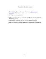 Referāts 'Ļeva Tolstoja romāna un Džo Raita filmas "Anna Kareņina" salīdzinājums', 6.