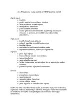 Diplomdarbs 'Ražošanas uzņēmuma transporta procesa uzlabošana', 8.