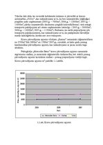 Diplomdarbs 'Ražošanas uzņēmuma transporta procesa uzlabošana', 15.