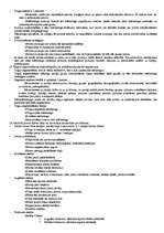 Konspekts 'Mārketings', 4.