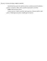 Konspekts 'Biznesa prasību analīze uzņēmumā', 5.