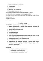 Konspekts 'Kāzu scenārijs', 3.