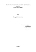 Referāts 'Pieauguša cilvēka attīstība', 1.