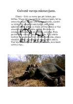 Eseja 'Domraksts par Regīnas Ezeras noveli "Zilonis"', 3.