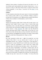 Konspekts 'Urogenitālā sistēma', 5.