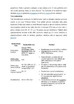 Konspekts 'Urogenitālā sistēma', 10.