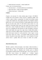 Konspekts 'Urogenitālā sistēma', 13.