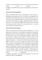 Konspekts 'Urogenitālā sistēma', 15.