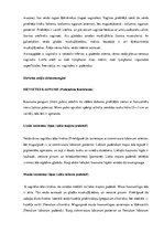 Konspekts 'Urogenitālā sistēma', 22.