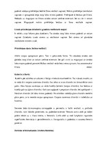 Konspekts 'Urogenitālā sistēma', 23.