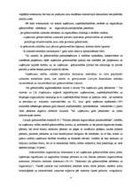 Referāts 'Grāmatvedības darba organizācija', 4.