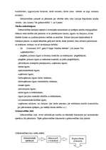 Referāts 'Grāmatvedības darba organizācija', 5.