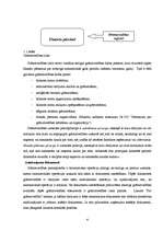 Referāts 'Grāmatvedības darba organizācija', 6.