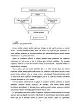 Referāts 'Grāmatvedības darba organizācija', 8.