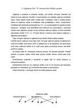 Referāts 'Grāmatvedības darba organizācija', 10.