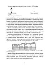 Referāts 'Grāmatvedības darba organizācija', 11.