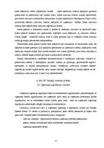 Referāts 'Grāmatvedības darba organizācija', 16.