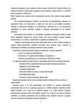 Referāts 'Grāmatvedības darba organizācija', 17.