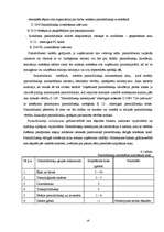 Referāts 'Grāmatvedības darba organizācija', 19.