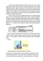 Referāts 'Grāmatvedības darba organizācija', 20.