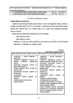 Referāts 'Grāmatvedības darba organizācija', 24.