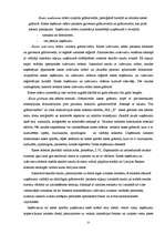 Referāts 'Grāmatvedības darba organizācija', 25.