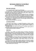 Konspekts 'Eiropas Savienība', 12.